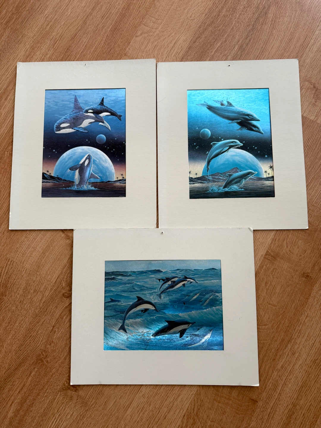 Art Prints - Orcas and Dolphins
