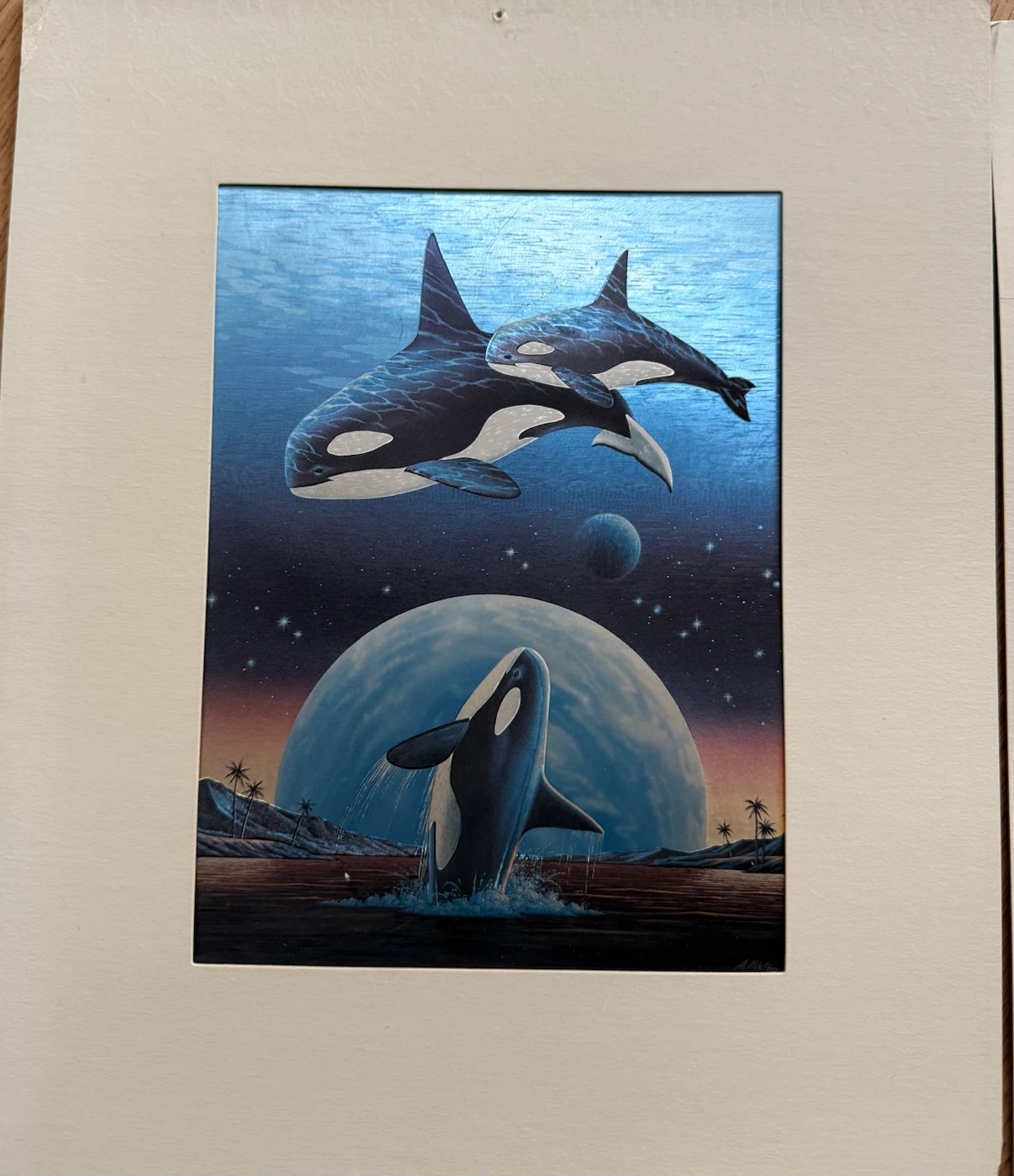 Art Prints - Orcas and Dolphins - photo 2