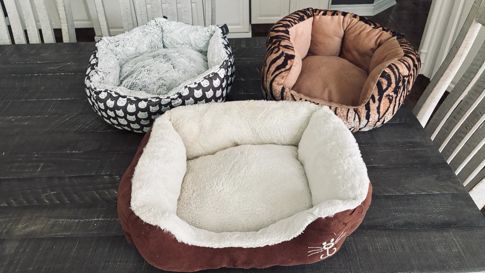 3 cat beds