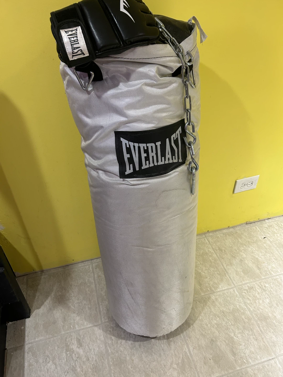 Everlast Punching Bag with Gloves
