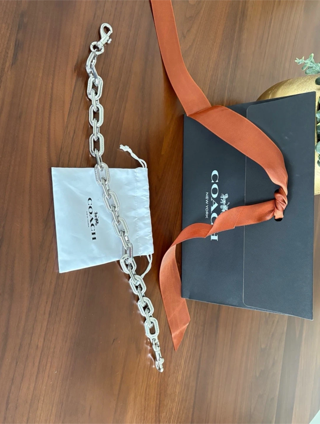 Coach Silver Chain Link Bag Strap