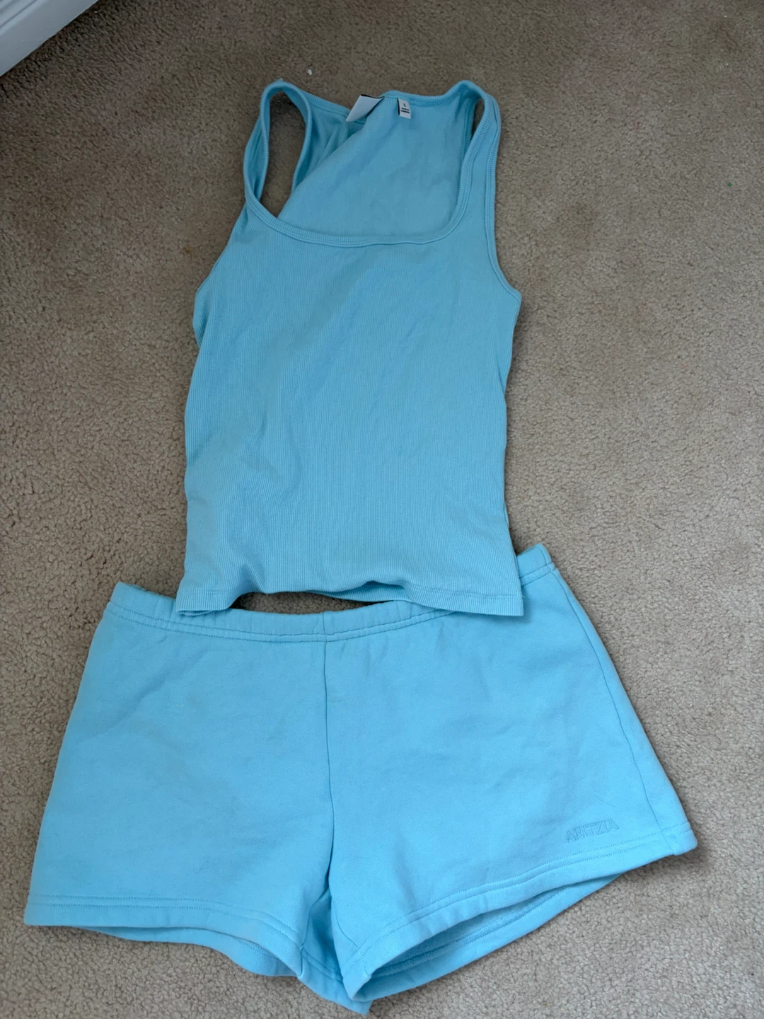 ARITZIA blue tank top and shorts set