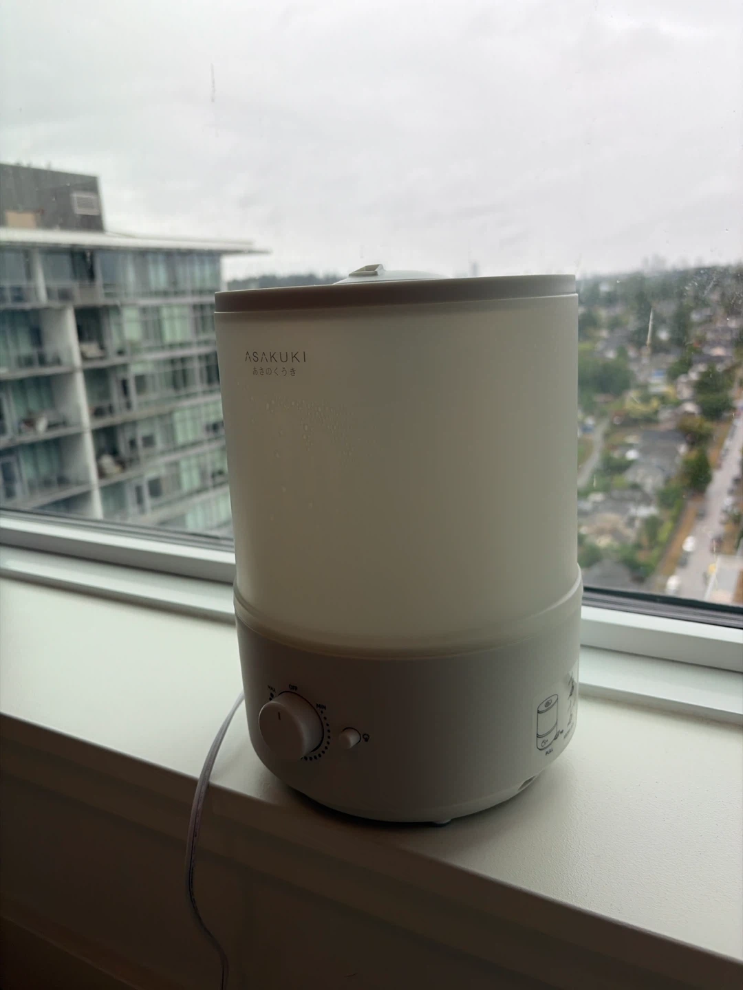 2-In-1 Ultrasonic Humidifier and Oil Diffuser