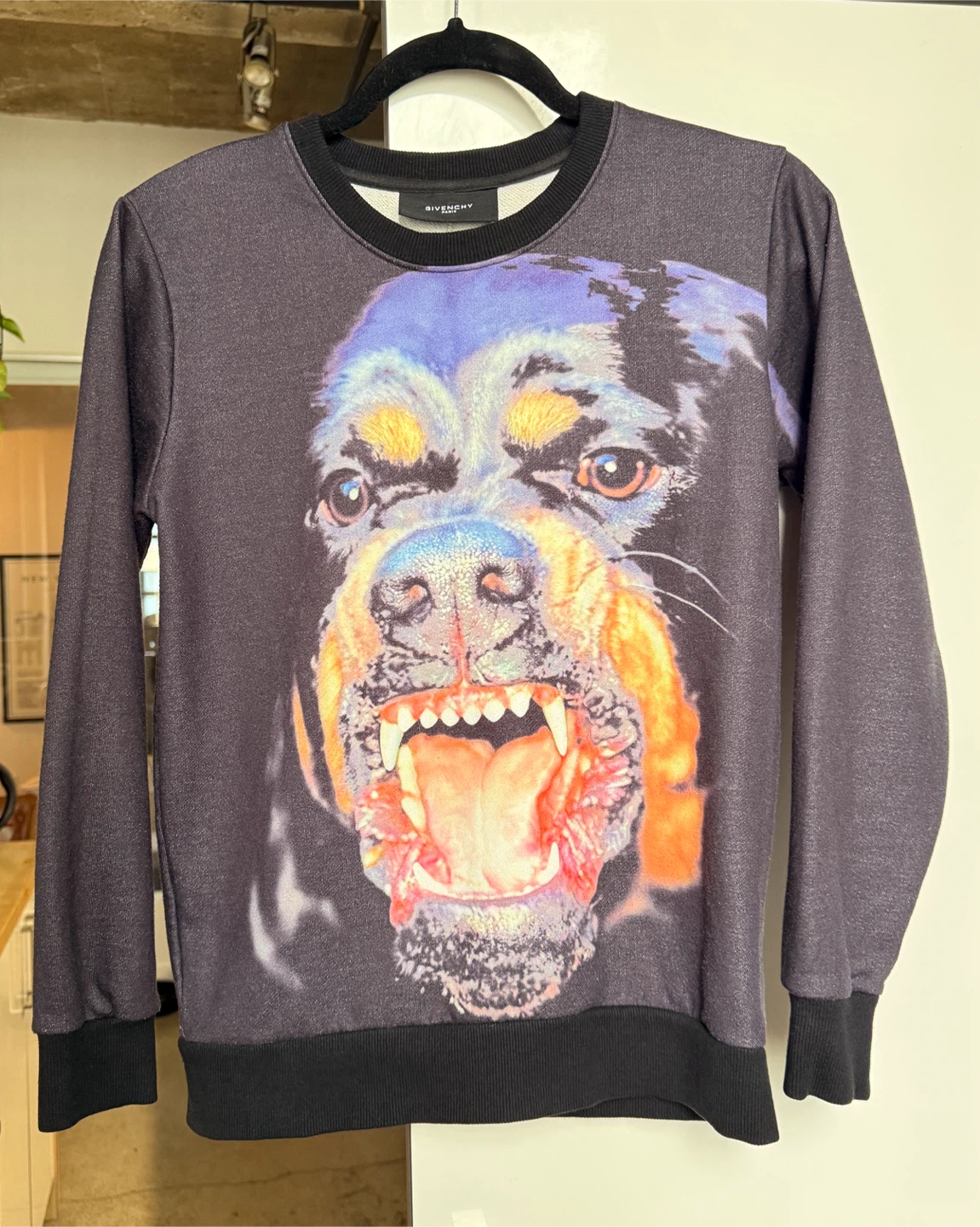 Givenchy Rottweiler Print Sweatshirt