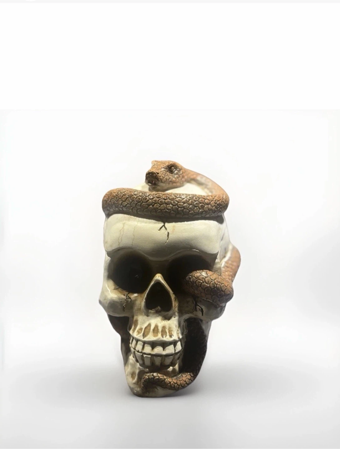 Skull and Snake Trinket Box