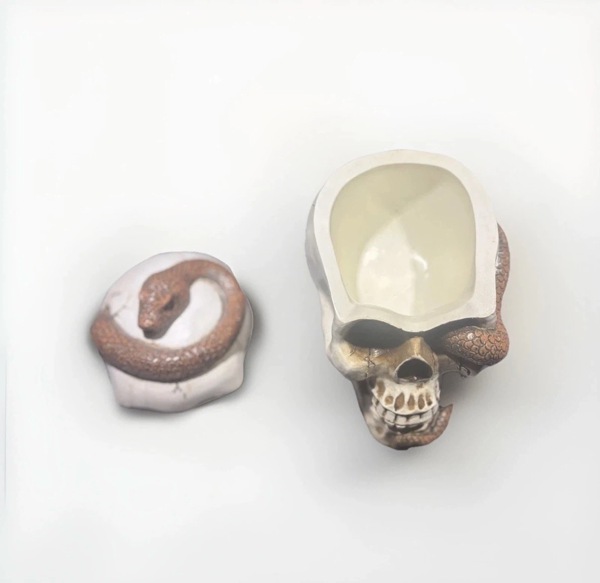Skull and Snake Trinket Box - photo 2