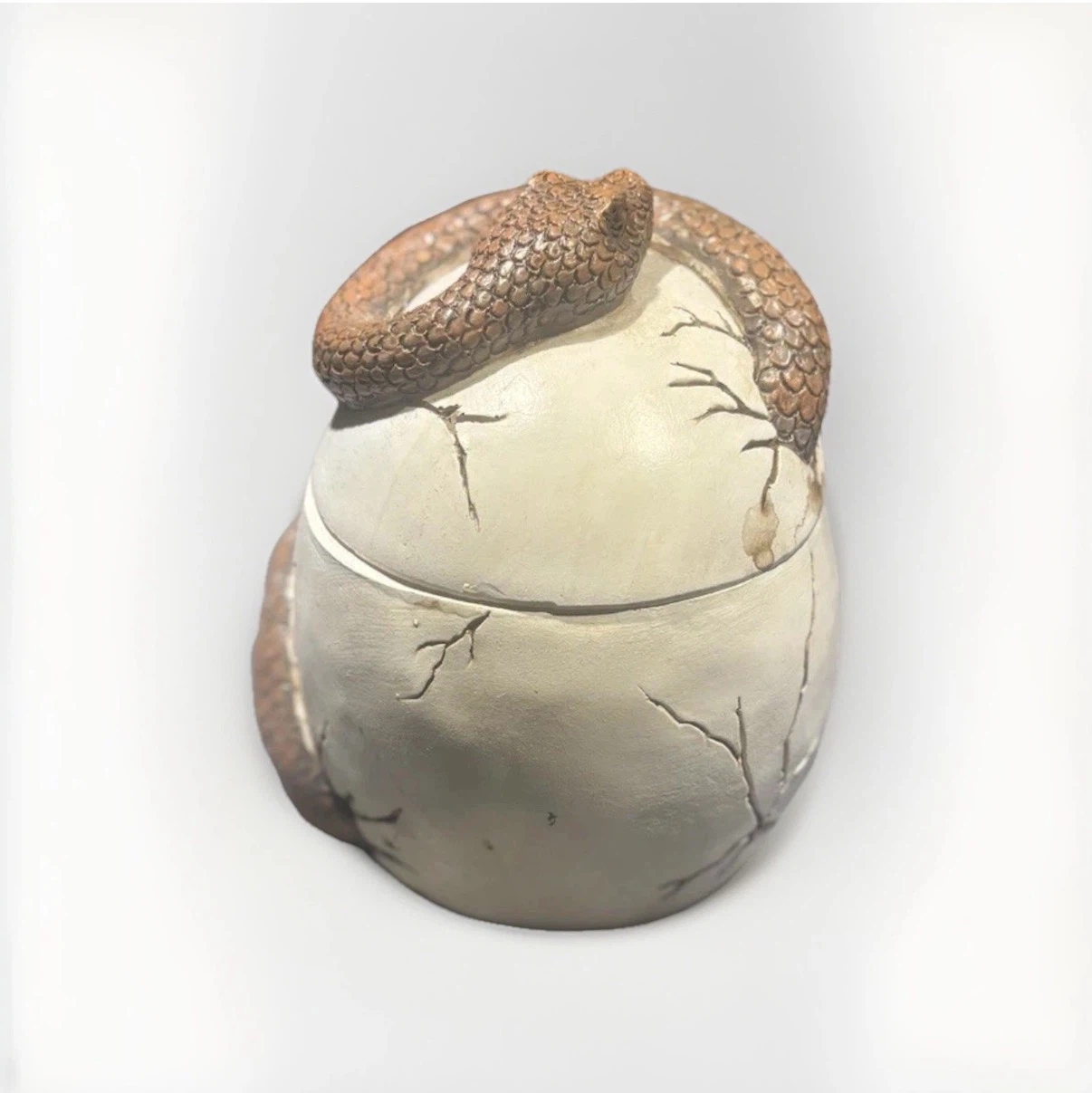 Skull and Snake Trinket Box - photo 3