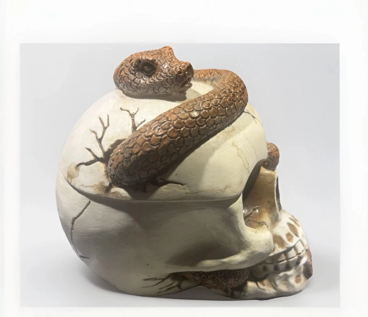 Skull and Snake Trinket Box - photo 4