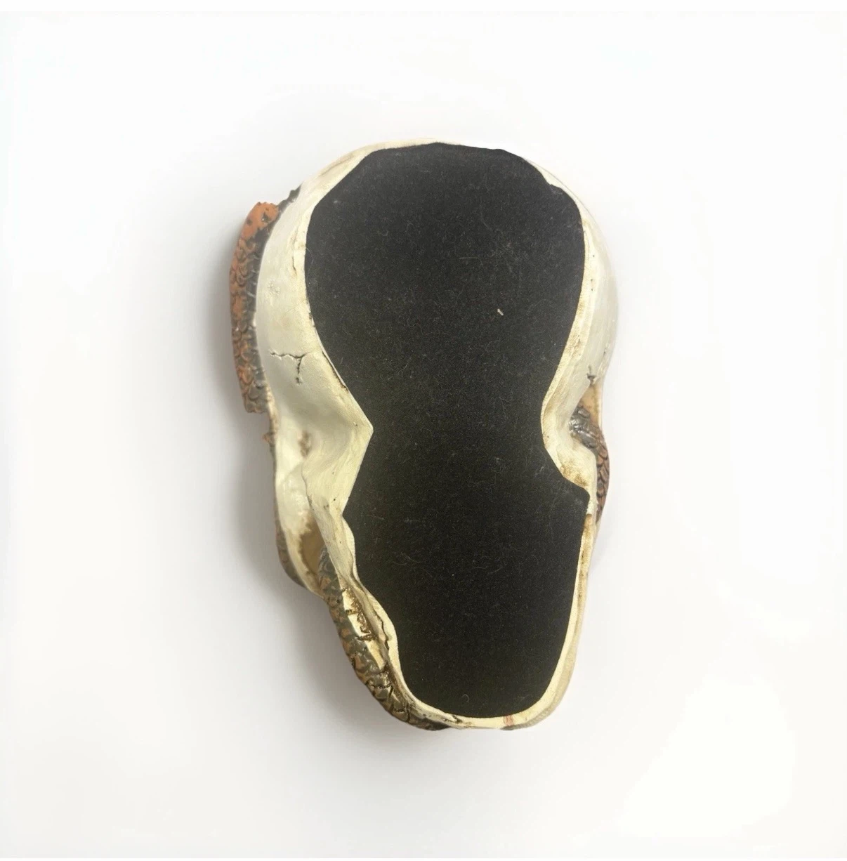 Skull and Snake Trinket Box - photo 5