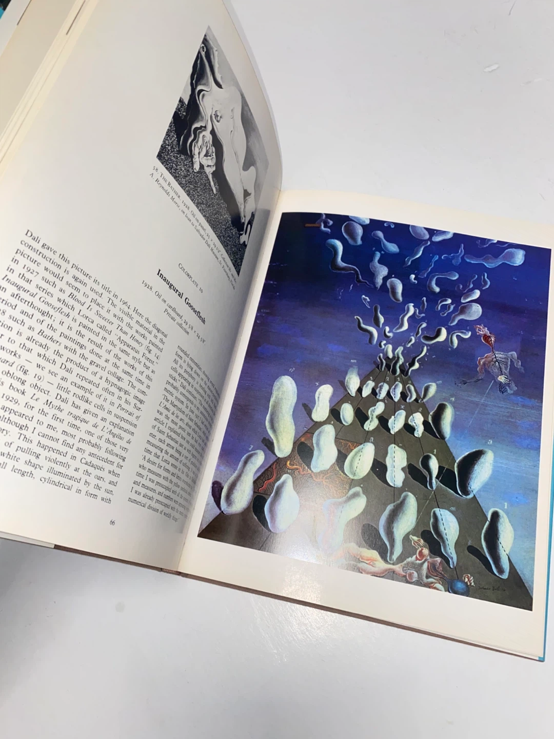 Dali by Robert Descharnes Art Book - photo 4