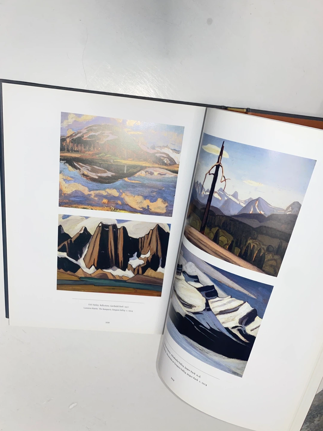 The Group of Seven and Tom Thomson Art Book by David P. Silcox - photo 3
