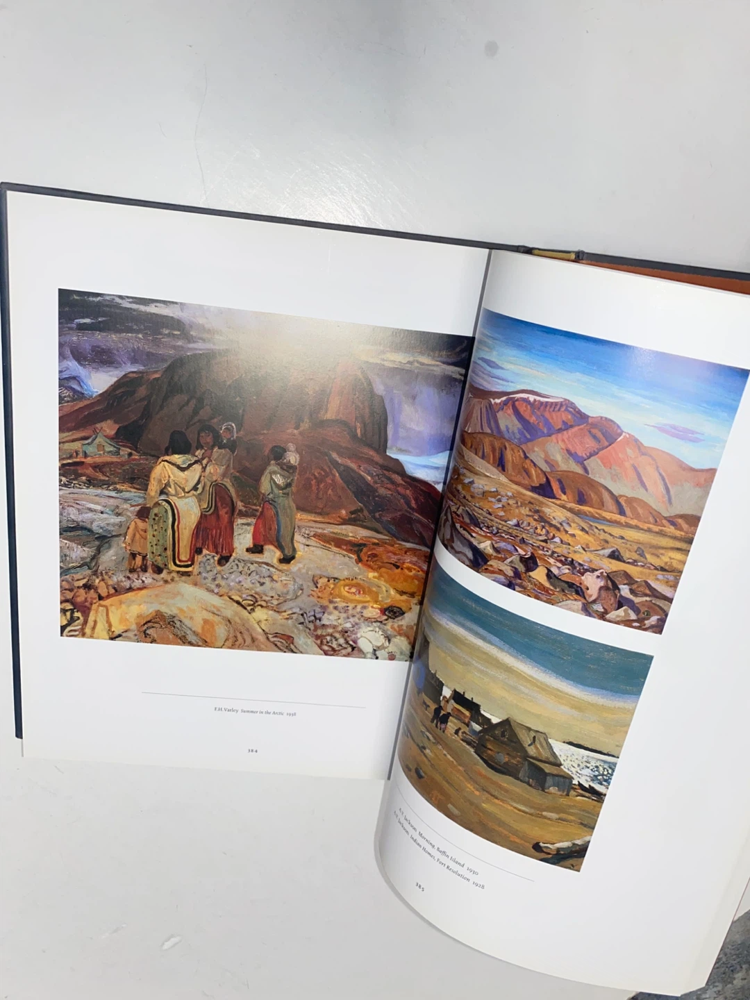 The Group of Seven and Tom Thomson Art Book by David P. Silcox - photo 4