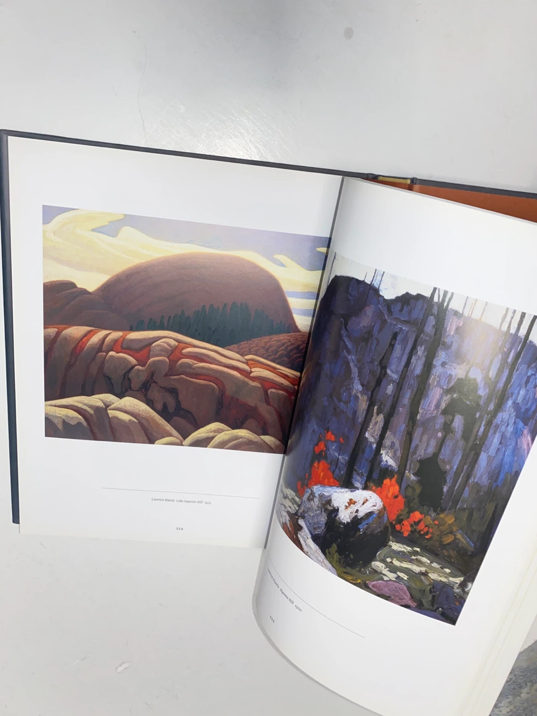 The Group of Seven and Tom Thomson Art Book by David P. Silcox - photo 2