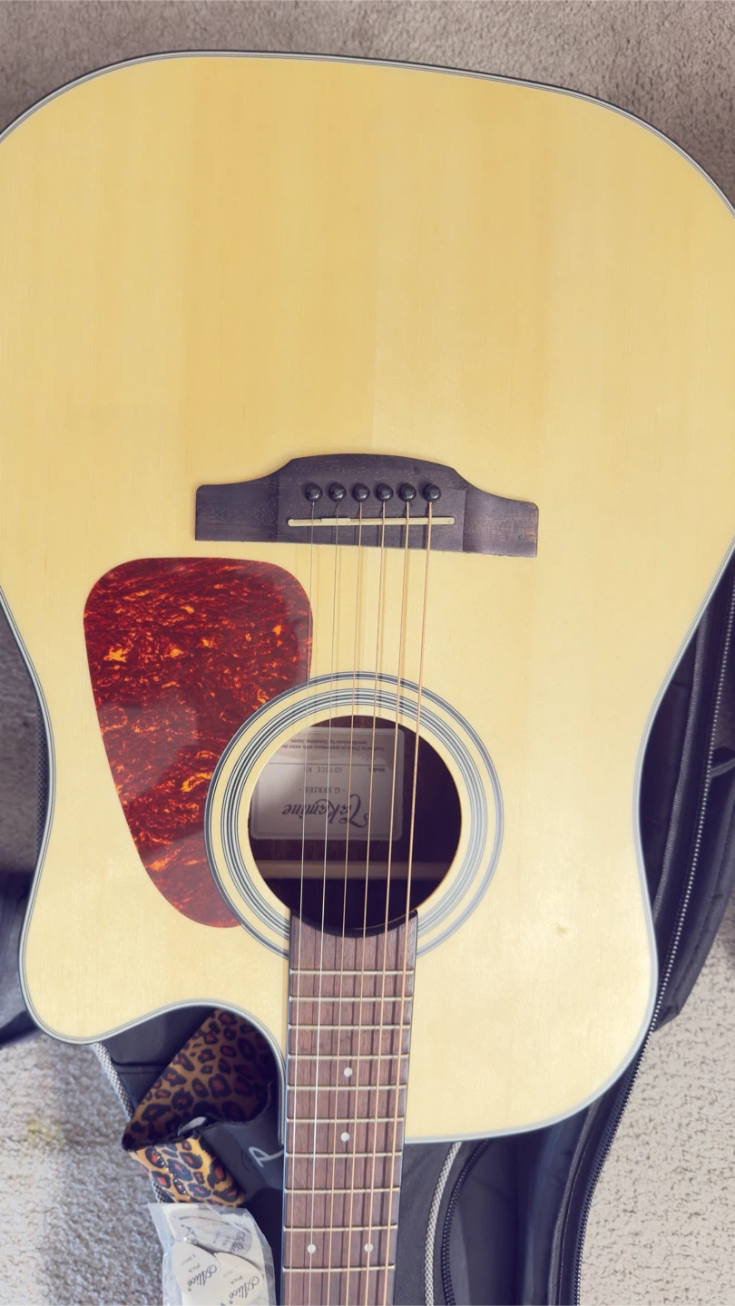 Takamine, Fender Guitars and Mic Stand - photo 3