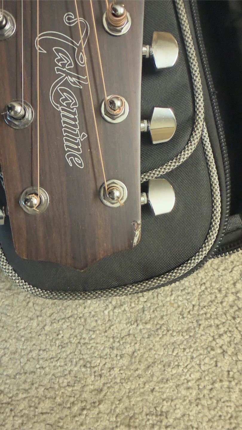 Takamine, Fender Guitars and Mic Stand - photo 5
