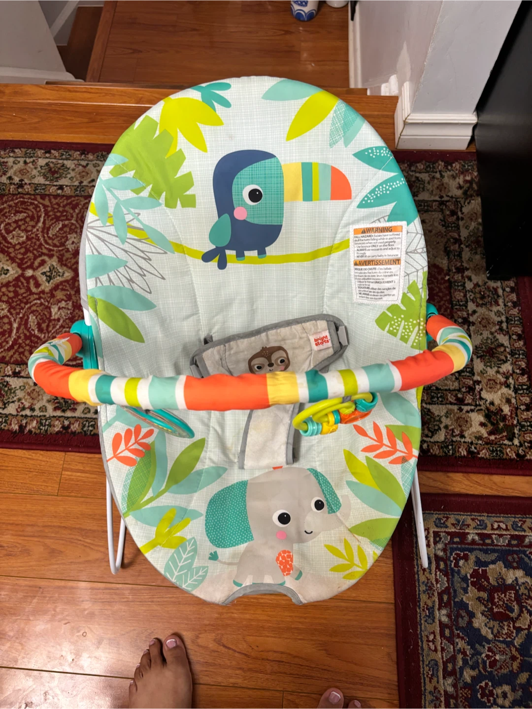 Fisher-Price Baby Bouncer Seat