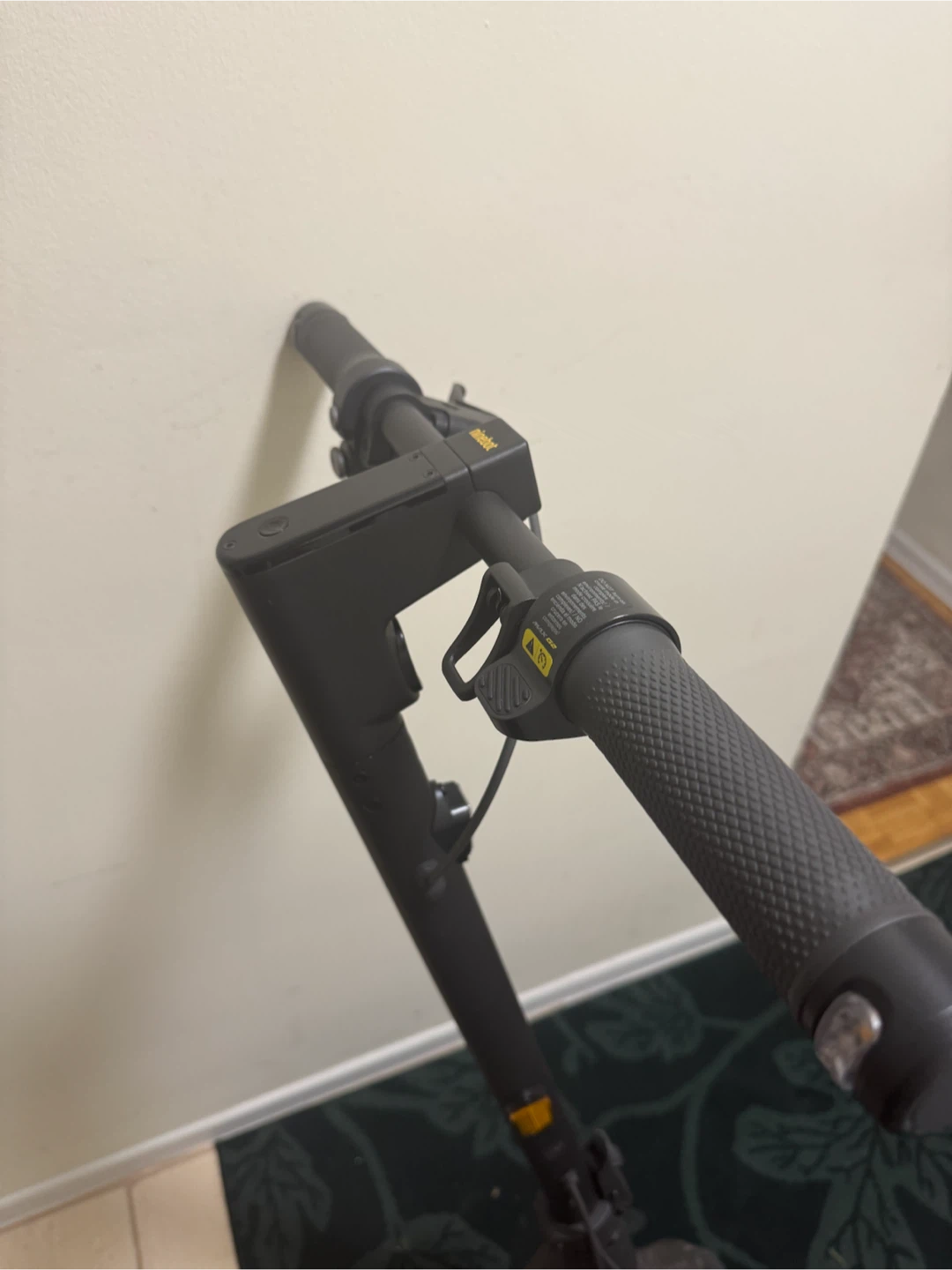 Ninebot g2 Max - photo 4