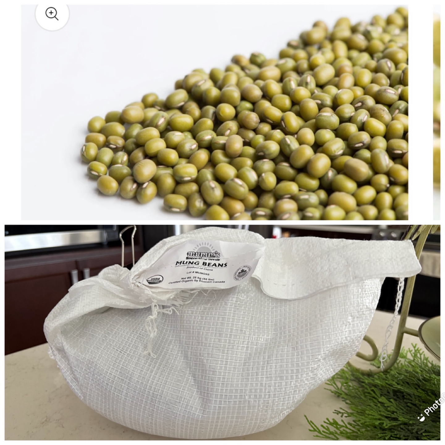 Mumm's Organic Mung Beans