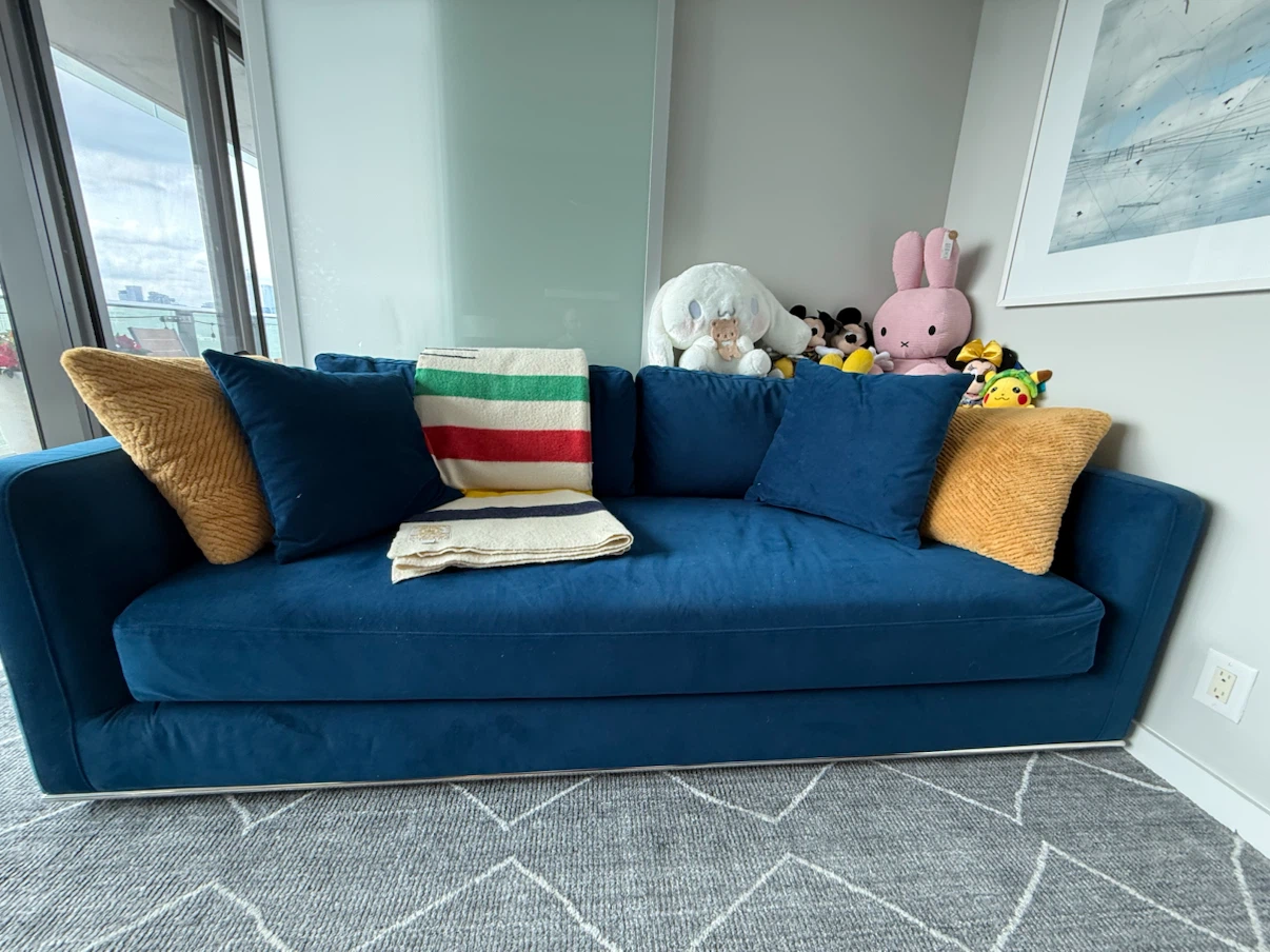 Rove Concept - Milo Pullout Couch - OBO - photo 2