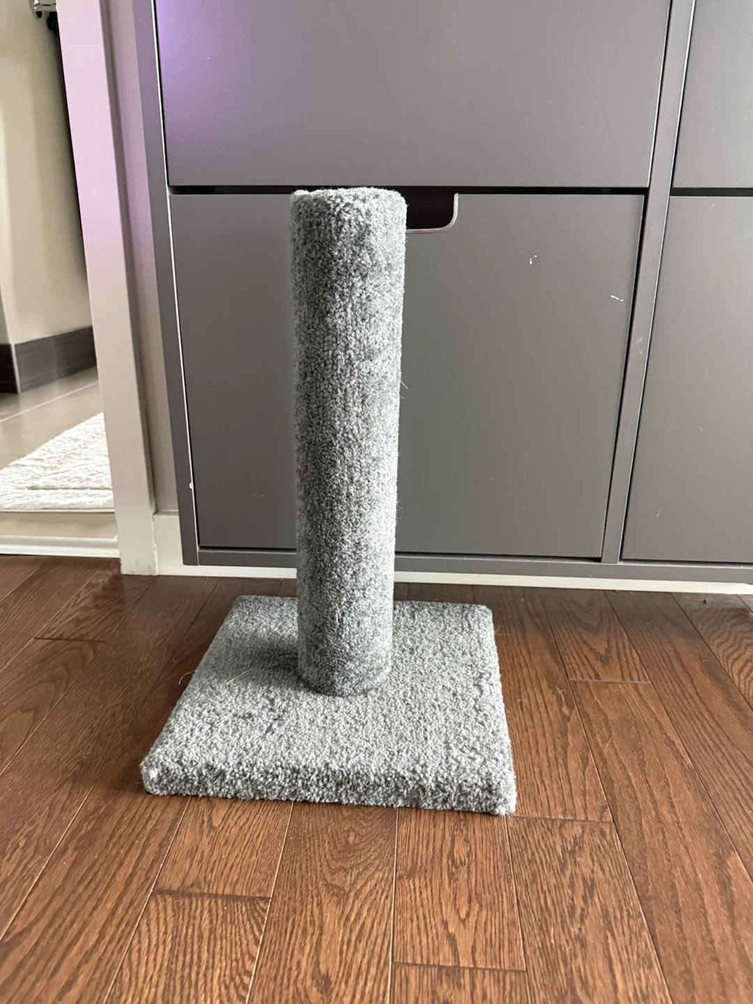 Cat scratch post