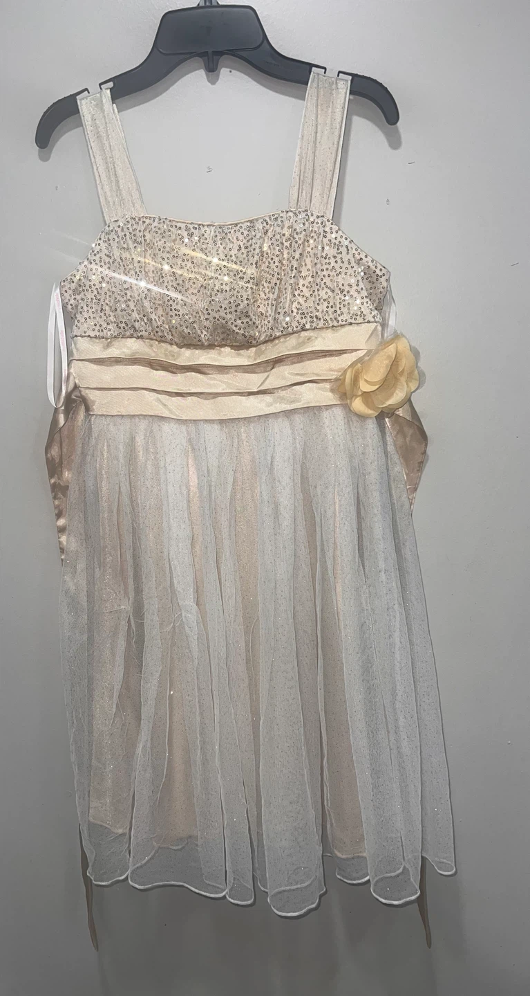Us Michelle Dress Size 14