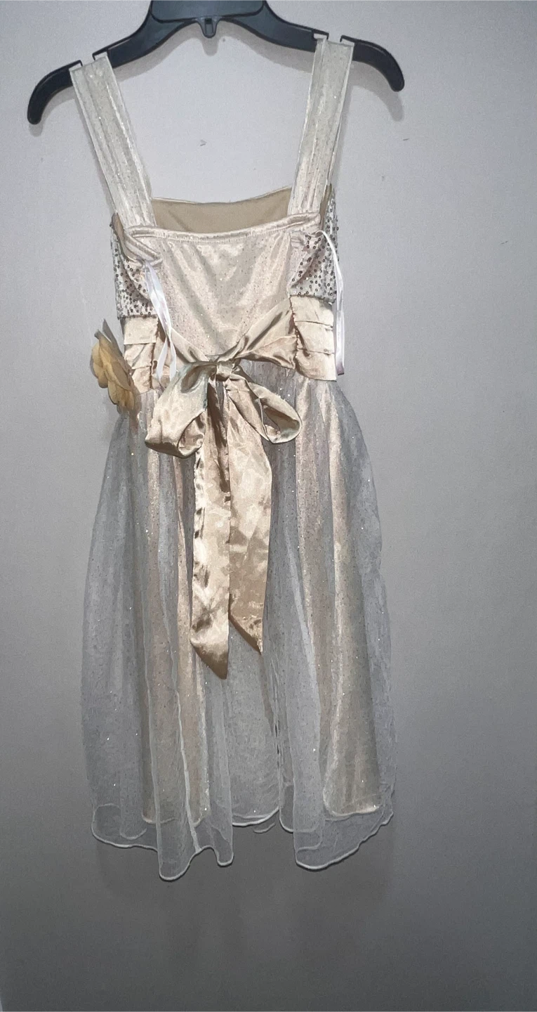 Us Michelle Dress Size 14 - photo 3