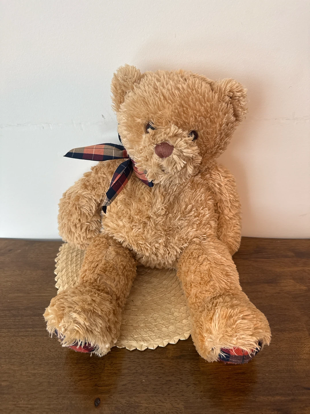 Furry Teddy Bear Plush Toy