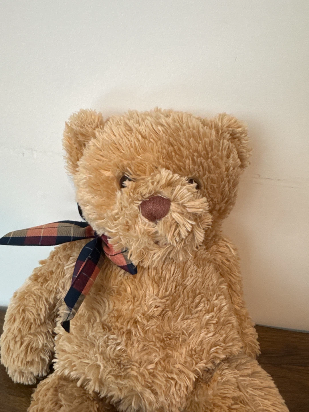 Furry Teddy Bear Plush Toy - photo 2