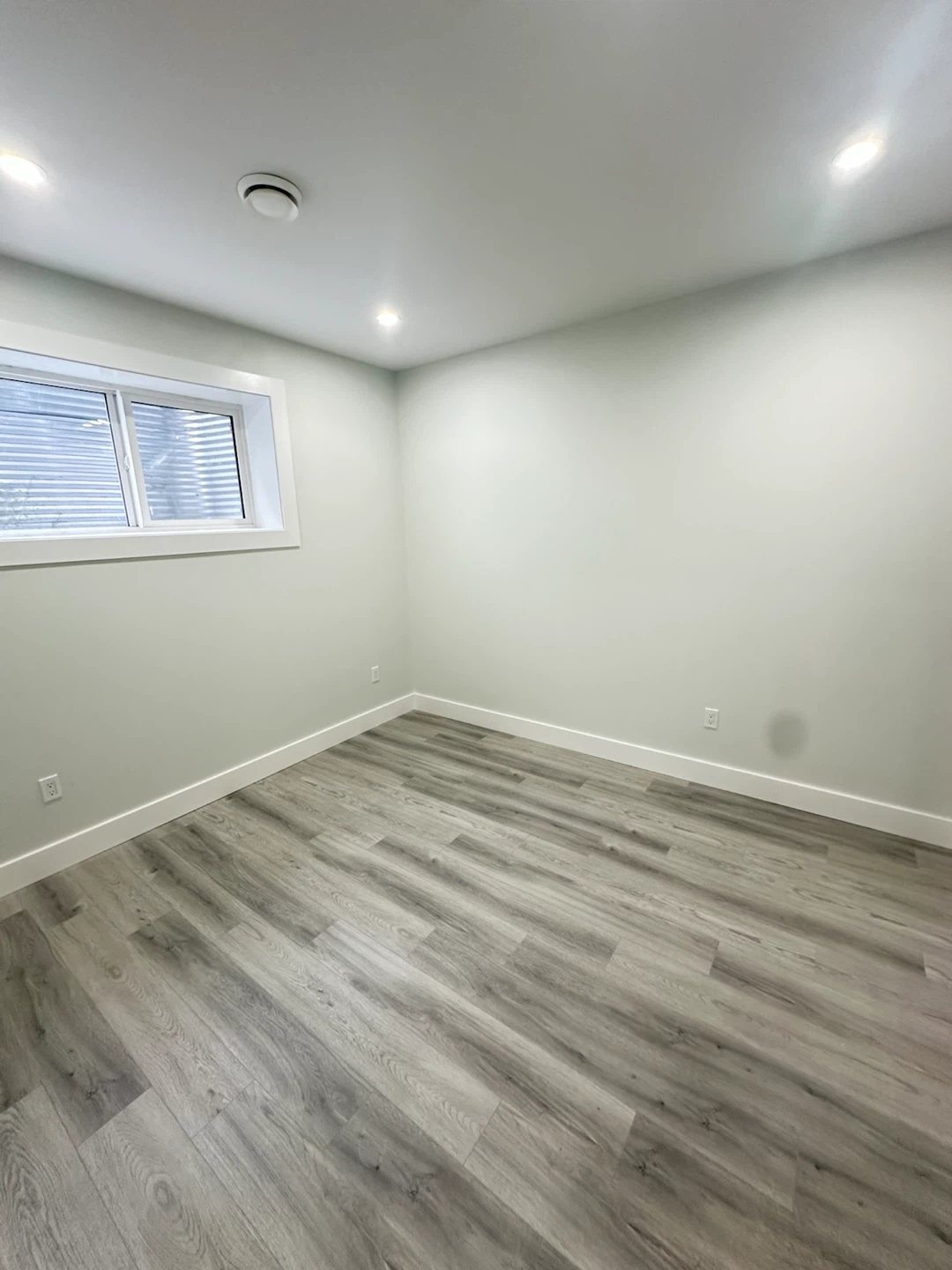 Newly Renovated Basement Suite with Kitchen and Bedroom - photo 5