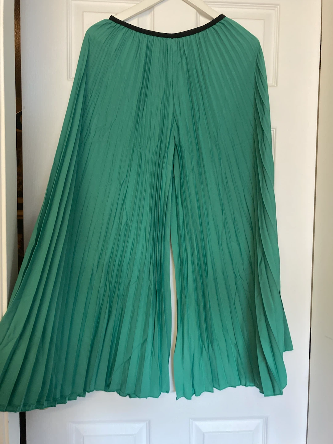 Pleated Wide-Leg Pants