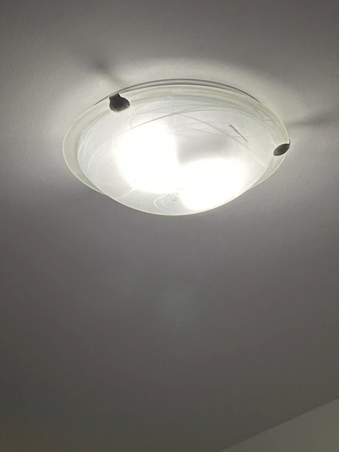 Flush Mount Ceiling Light Fixture