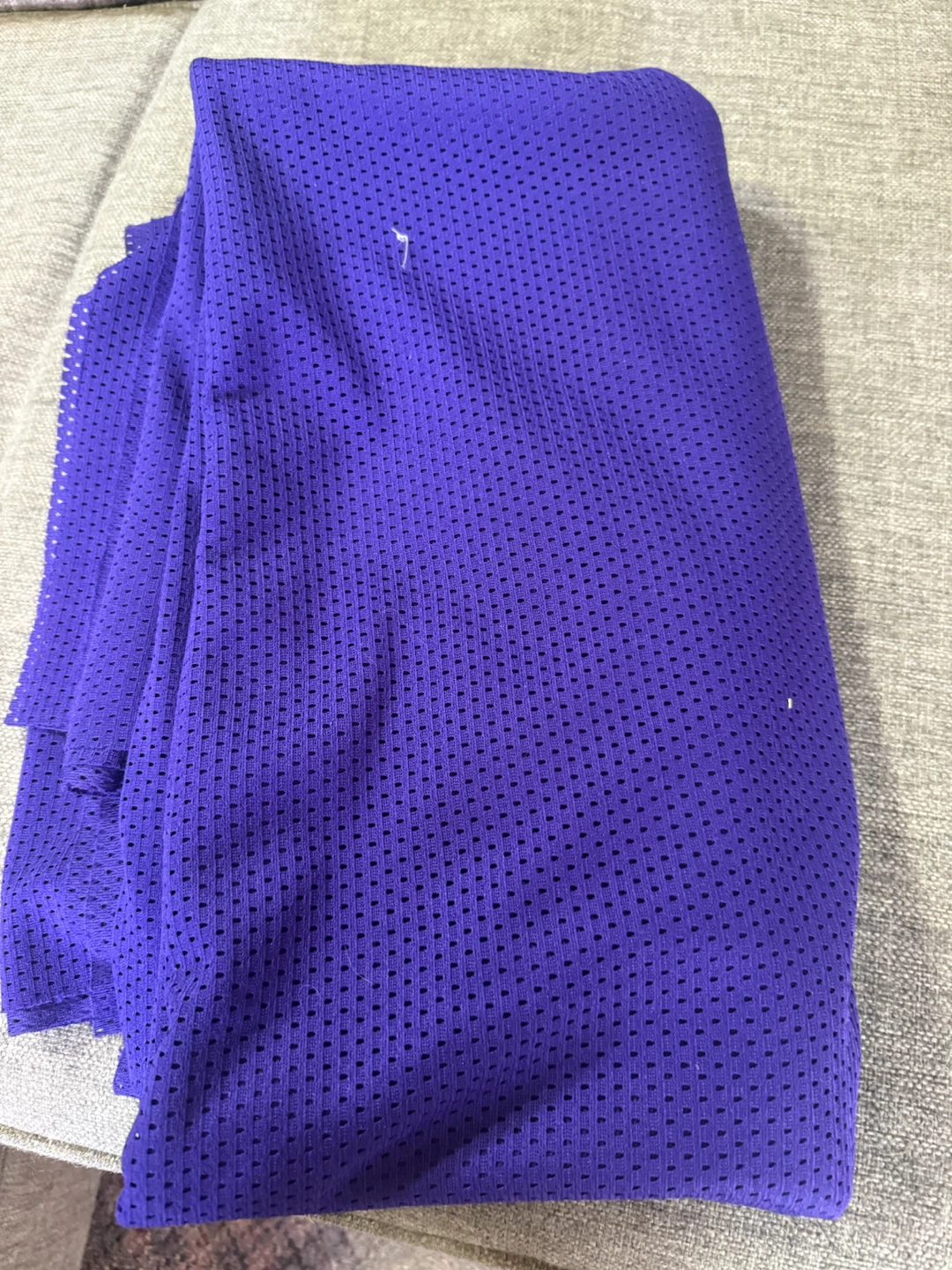 Purple Mesh Fabric