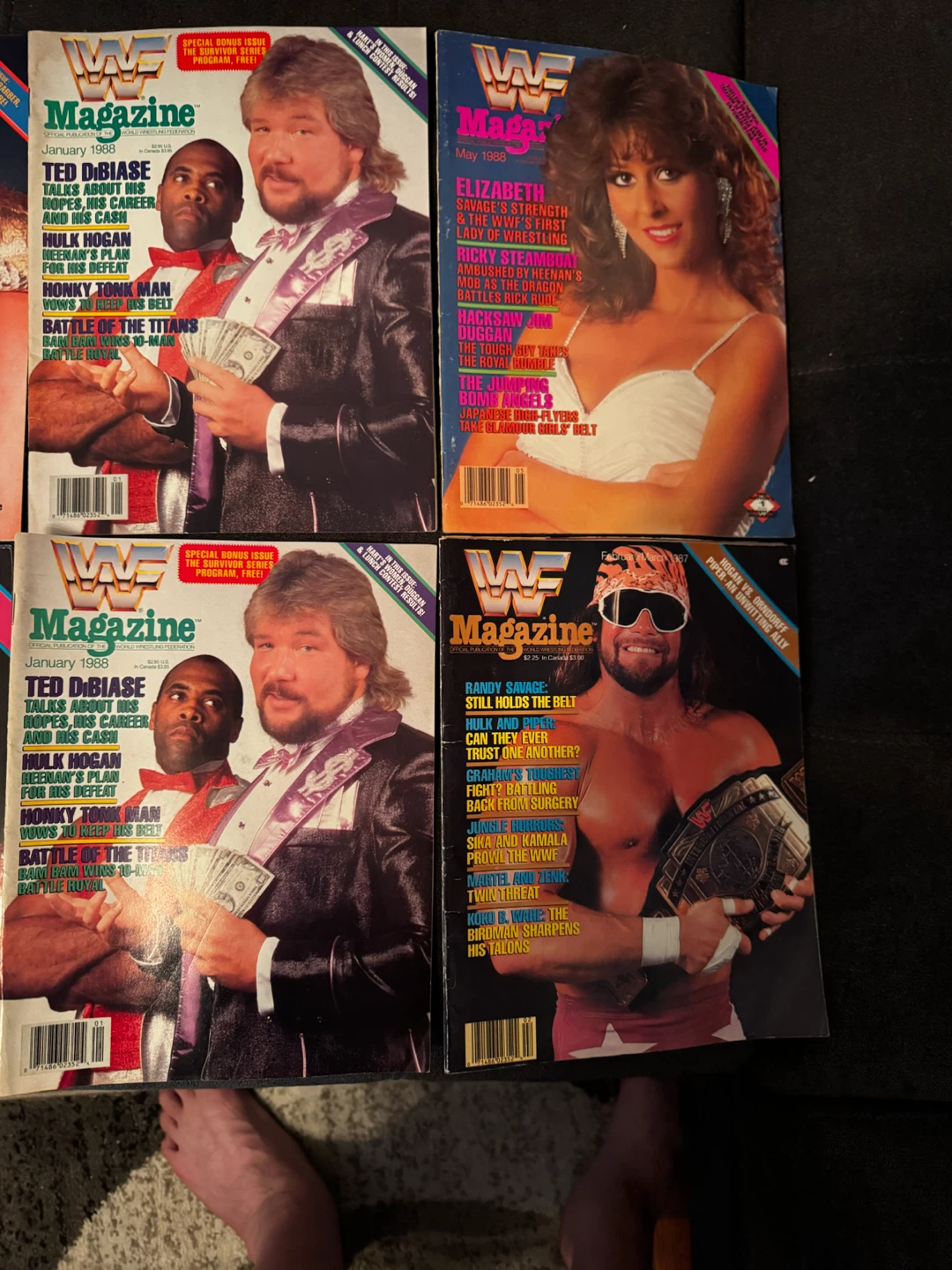 WWF Magazine Collection - photo 3