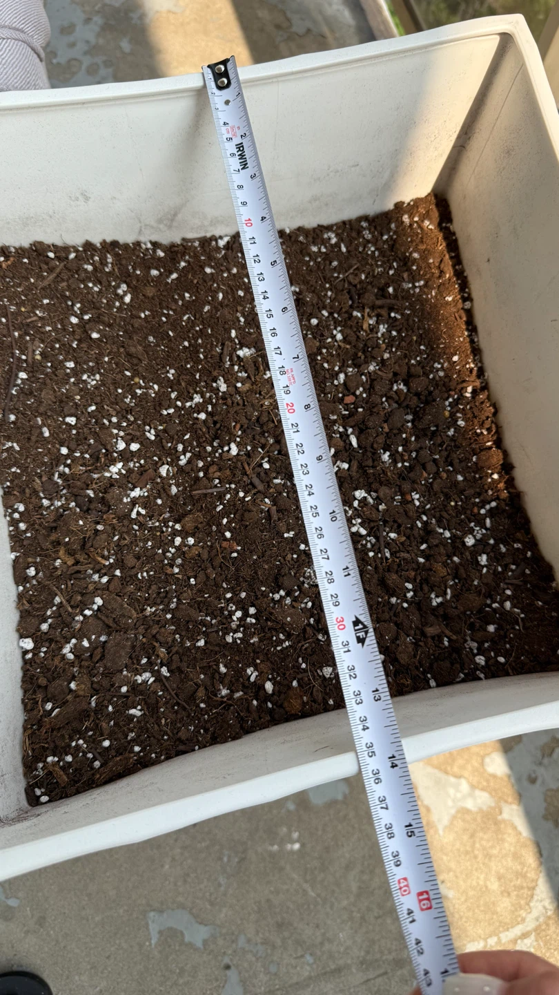 White Geometric Pattern Planter - photo 3