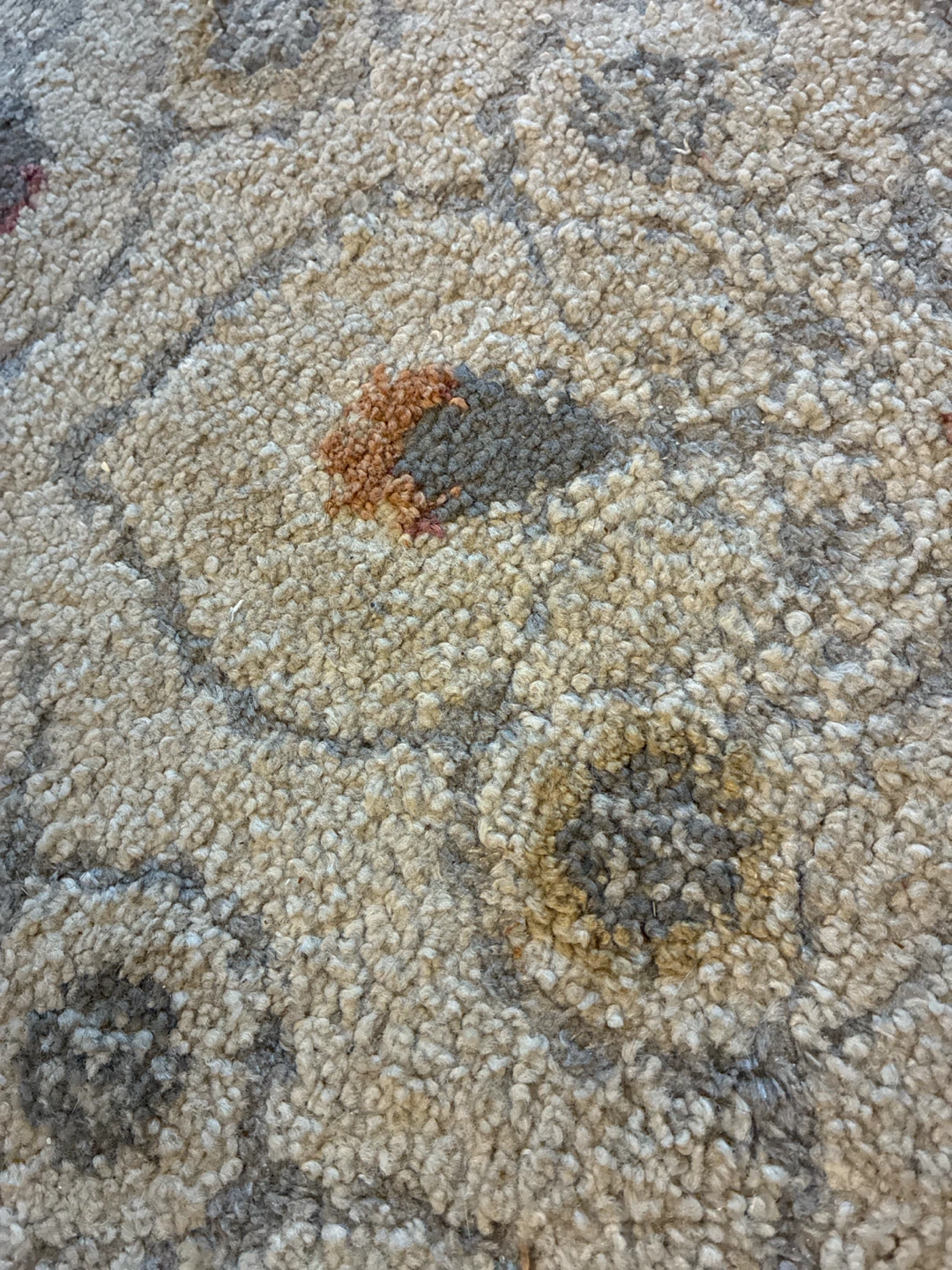 Front Door  Rug - photo 2