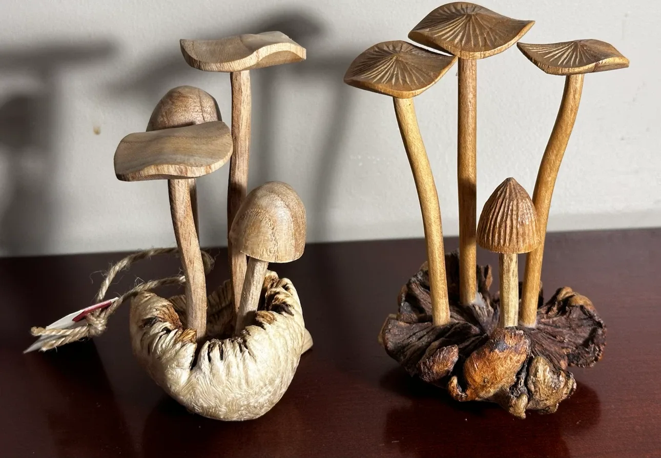 Hand-Carved Wooden Mushroom Sculpture Pair - photo 2
