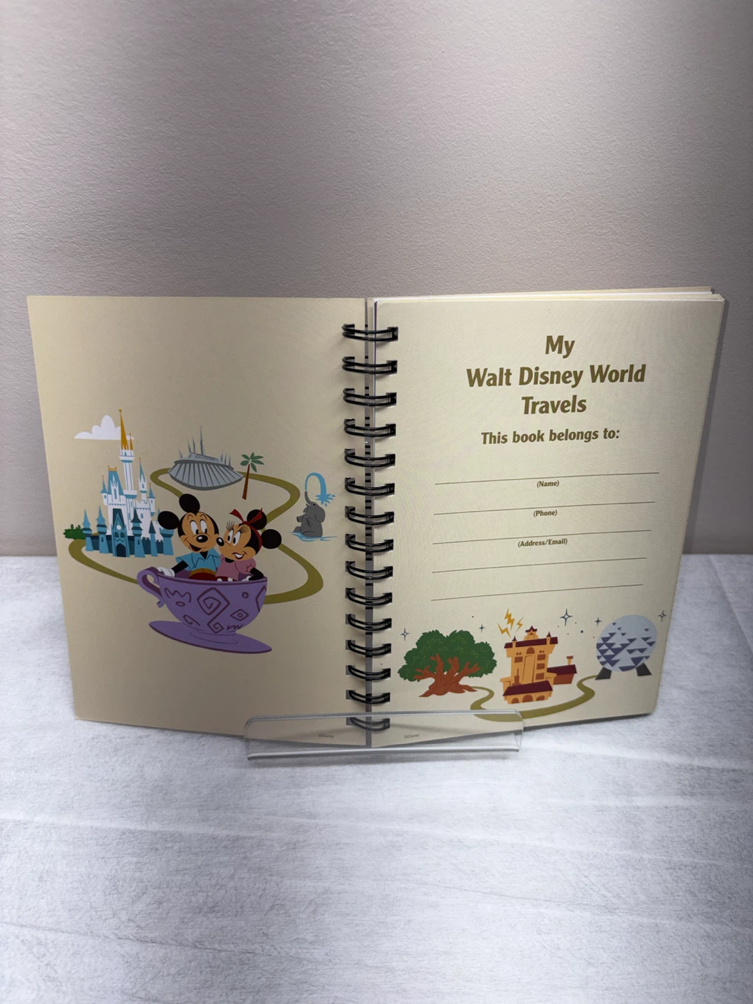 Walt Disney World Travel Journal - photo 3