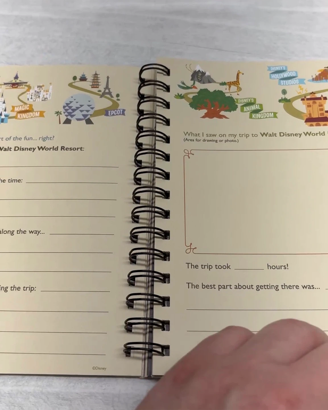 Walt Disney World Travel Journal - photo 5