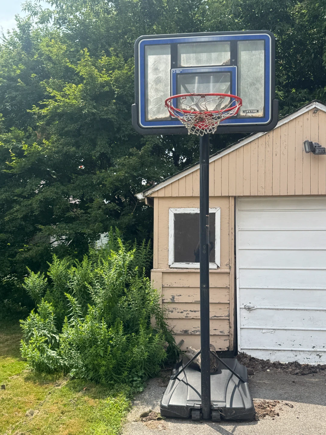 Lifetime Portable Basketball Hoop