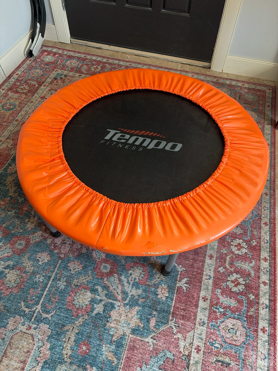 Rebounder Trampoline