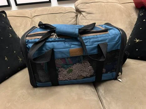 Small Pet Starter Kit - photo 4