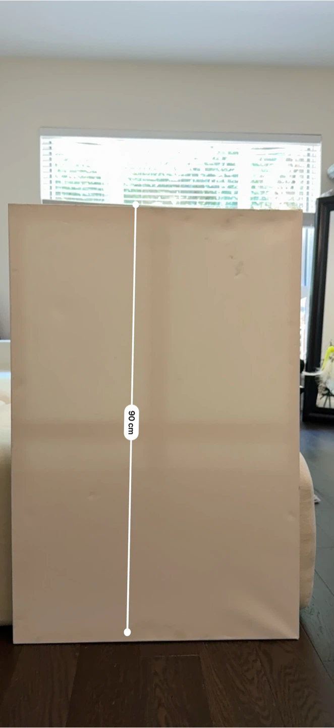 Blank Canvas Painting - photo 2