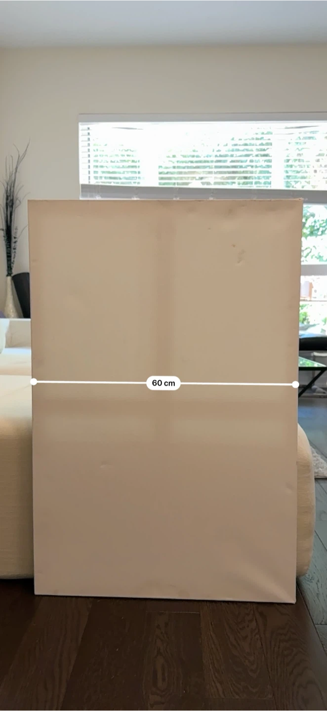 Blank Canvas Painting - photo 3