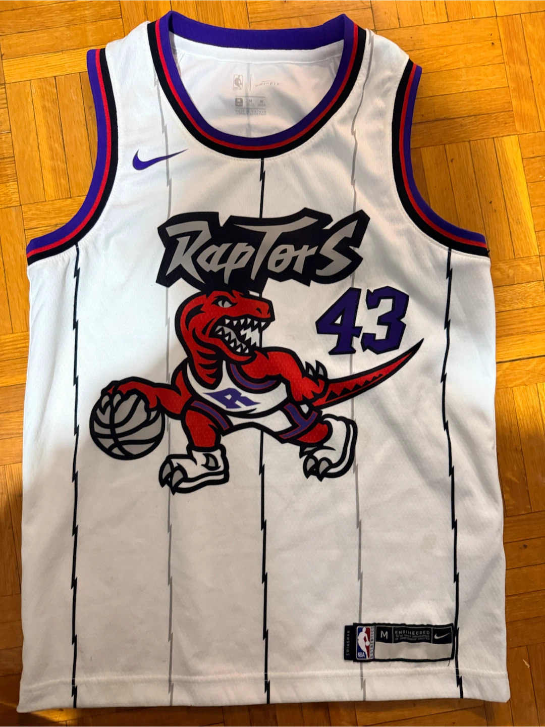 Toronto Raptors NBA Siakam #43 Jersey - photo 2
