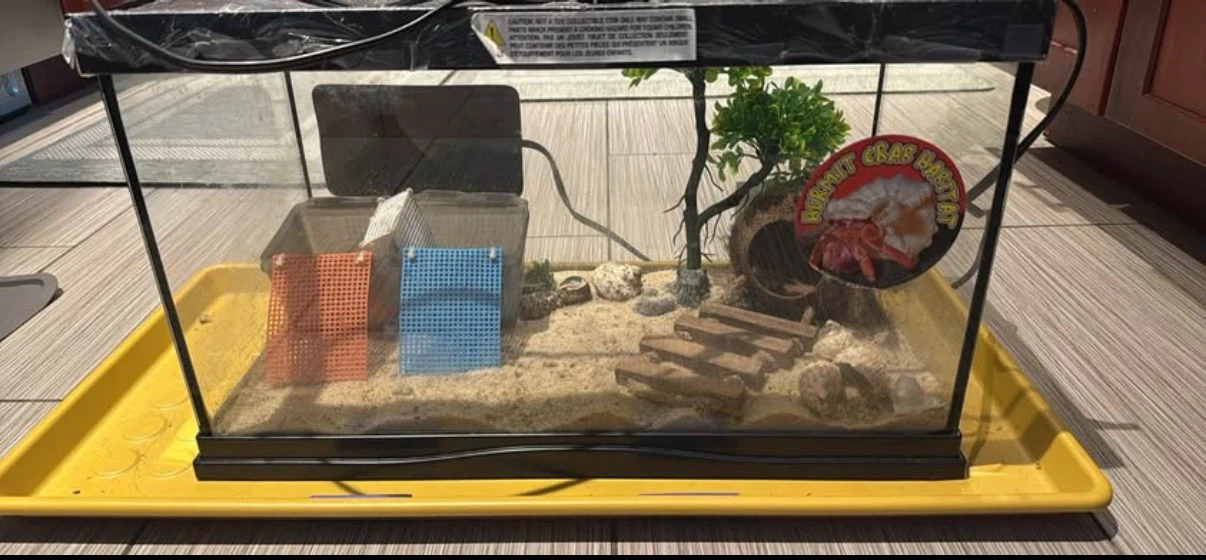 Hermit Crab Habitat Tank