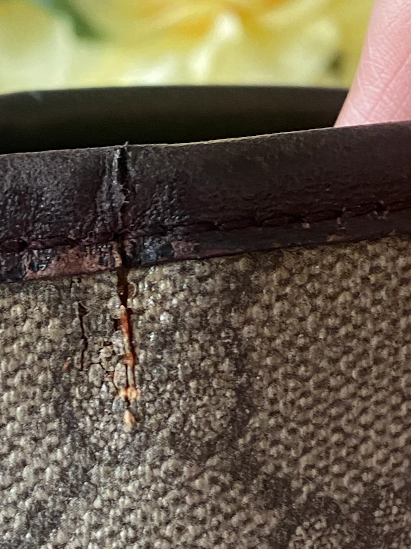 Gucci GG Monogram Tote Bag - photo 3