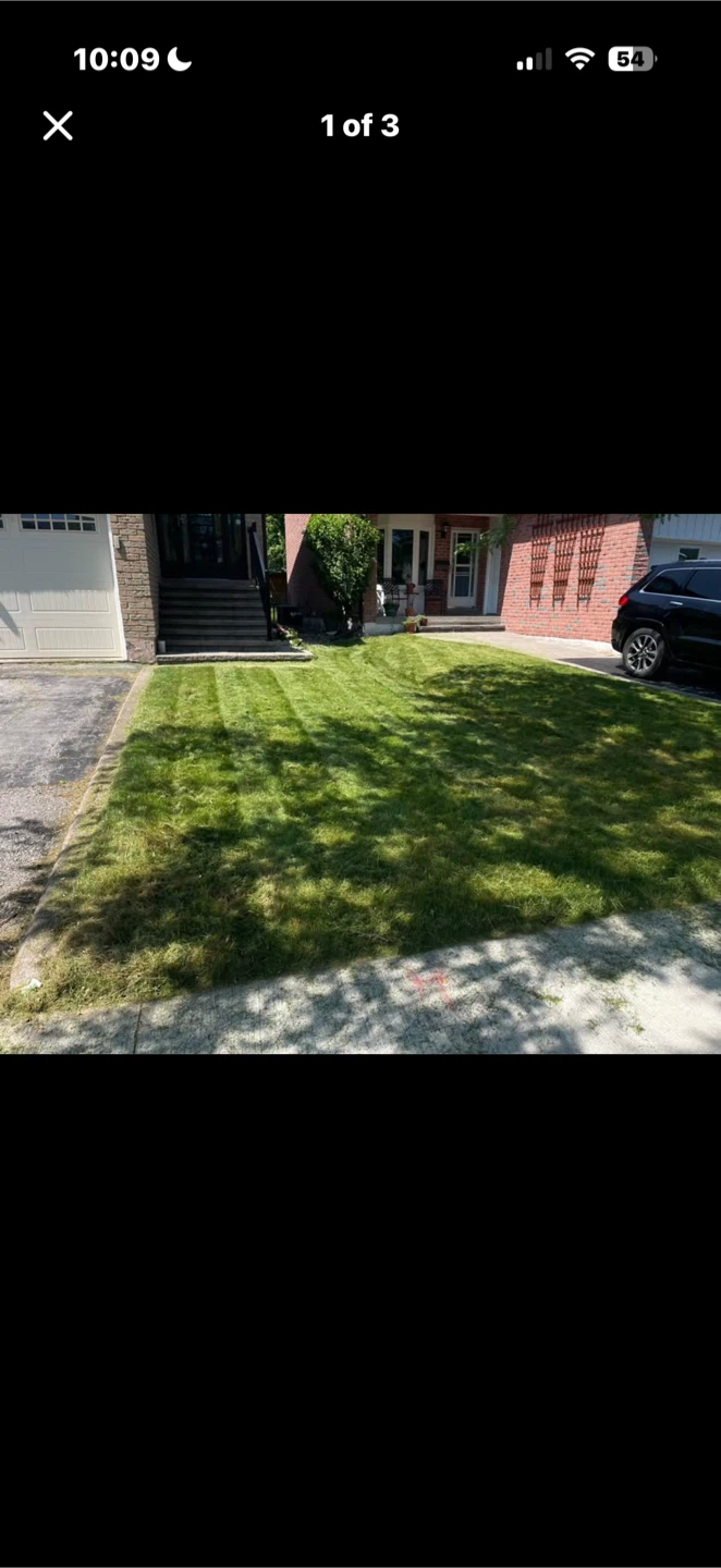 Grass Cutting