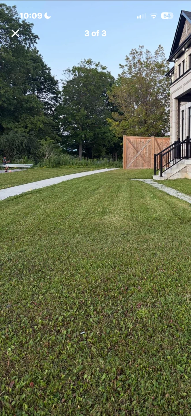 Grass Cutting - photo 2