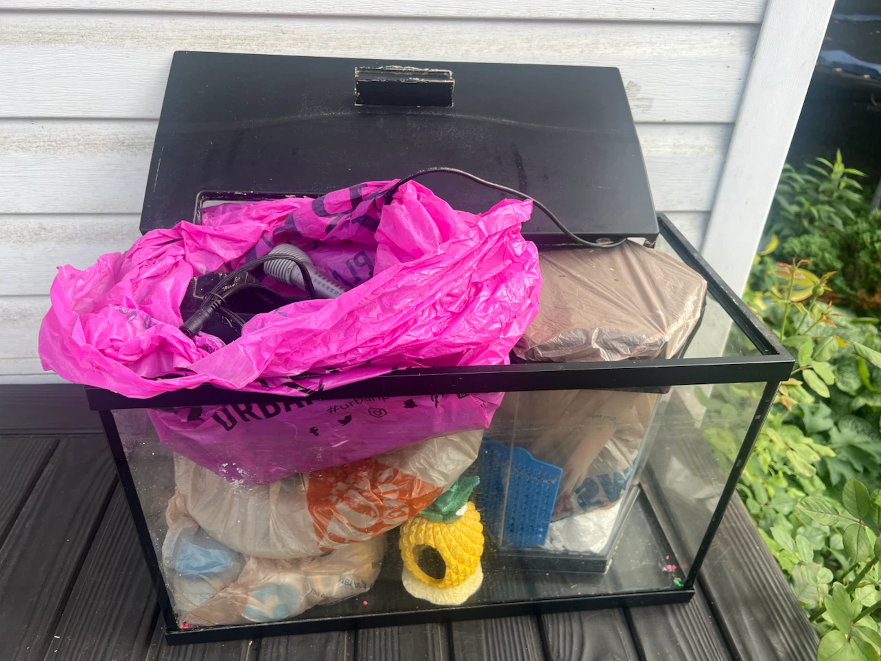 Aquarium Tank with Accessories 12 gallons (free) - photo 2