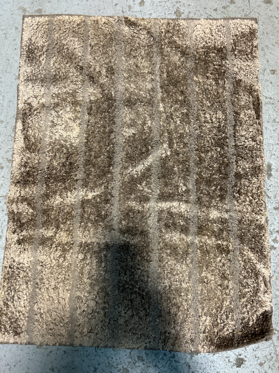 Shaggy Area Rug